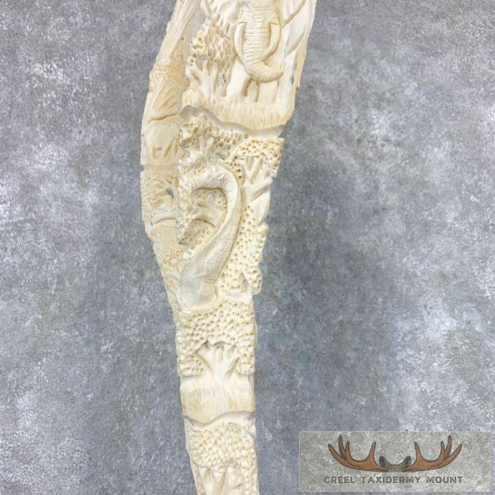 Carved Eland Scapula Safari Decor For Sale - Image 9