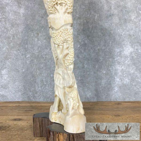 Carved Eland Scapula Safari Decor For Sale - Image 6