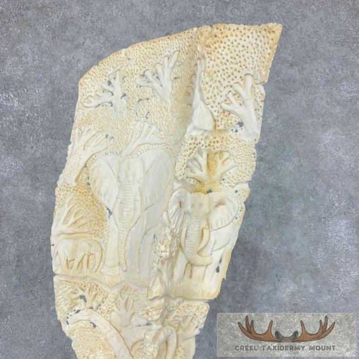 Carved Eland Scapula Safari Decor For Sale - Image 15