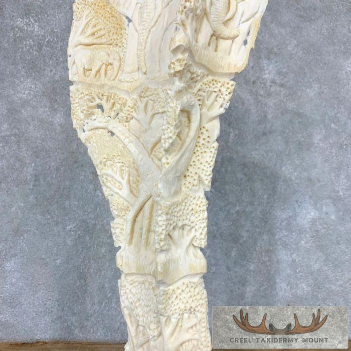 Carved Eland Scapula Safari Decor For Sale - Image 8