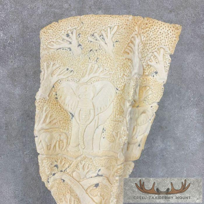 Carved Eland Scapula Safari Decor For Sale - Image 12