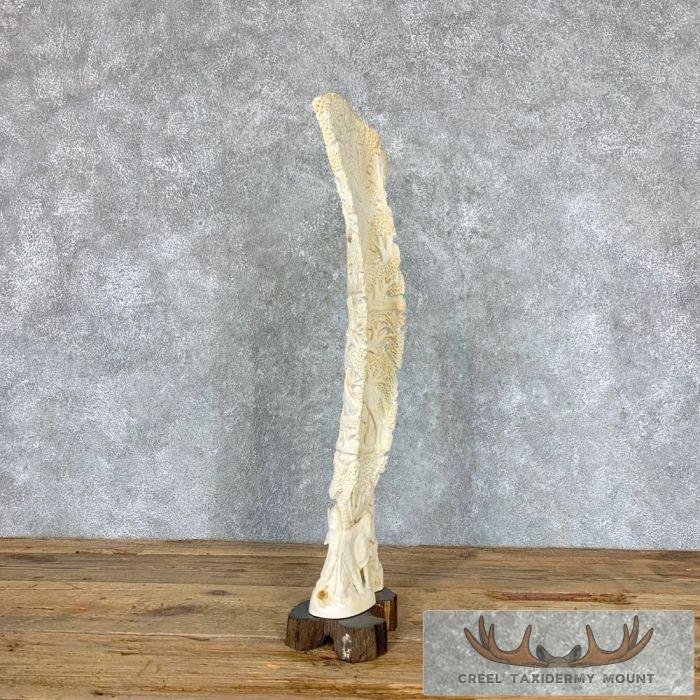 Carved Eland Scapula Safari Decor For Sale - Image 3