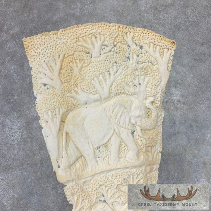 Carved Eland Scapula Safari Decor For Sale - Image 13
