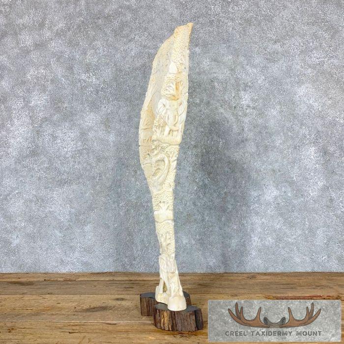Carved Eland Scapula Safari Decor For Sale - Image 2