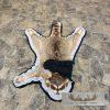 Raccoon Full-Size Rug For Sale - Image 2