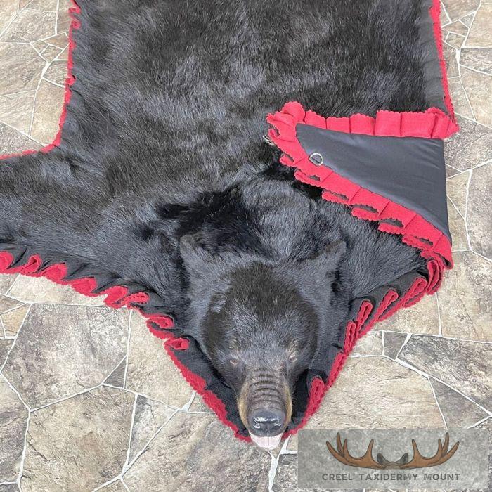 Black Bear Full-Size Taxidermy Rug For Sale - Image 2