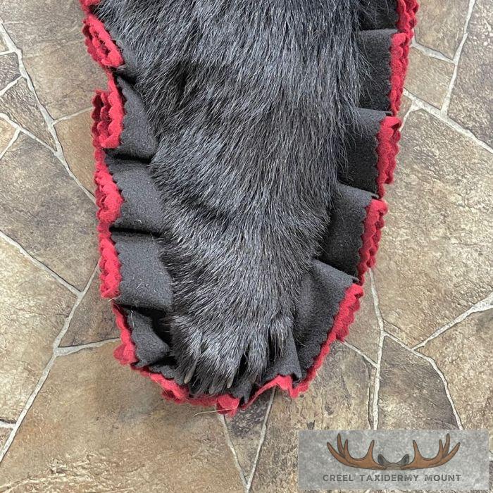 Black Bear Full-Size Taxidermy Rug For Sale - Image 8