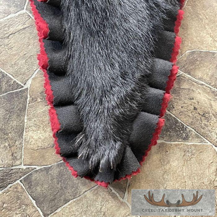 Black Bear Full-Size Taxidermy Rug For Sale - Image 9