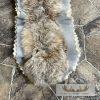 Alaskan Lynx Taxidermy Full Rug Mount For Sale - Image 7
