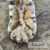 Alaskan Lynx Taxidermy Full Rug Mount For Sale - Image 8