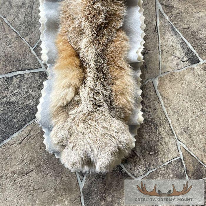 Alaskan Lynx Taxidermy Full Rug Mount For Sale - Image 9
