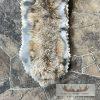 Alaskan Lynx Taxidermy Full Rug Mount For Sale - Image 10