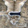 Alaskan Lynx Taxidermy Full Rug Mount For Sale - Image 2