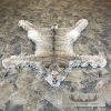 Alaskan Lynx Taxidermy Full Rug Mount For Sale - Image 4