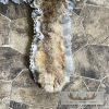 Alaskan Lynx Taxidermy Full Rug Mount For Sale - Image 8