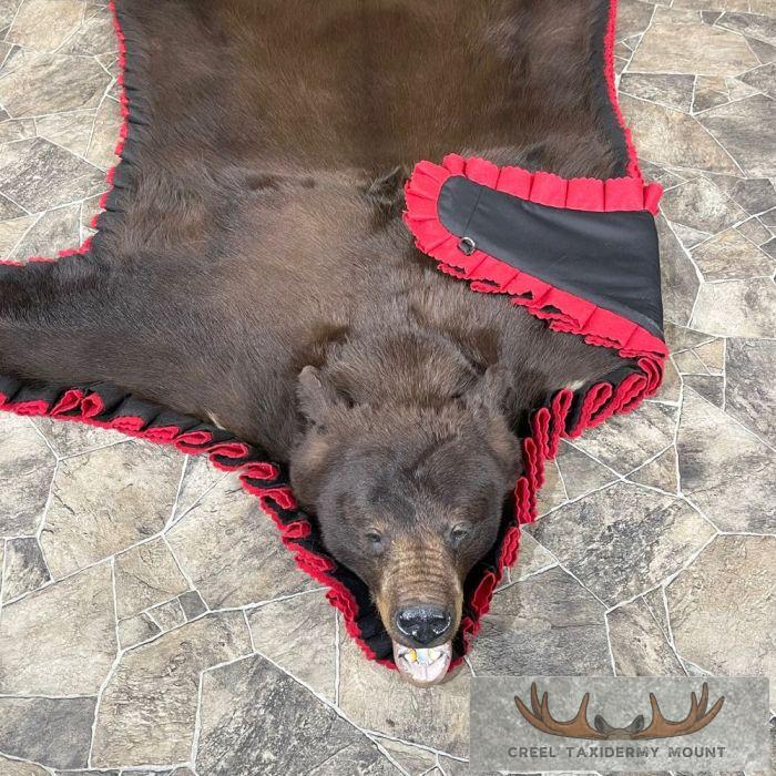 Chocolate Black Bear Full-Size Taxidermy Rug For Sale