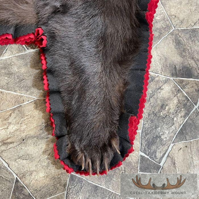 Chocolate Black Bear Full-Size Taxidermy Rug For Sale