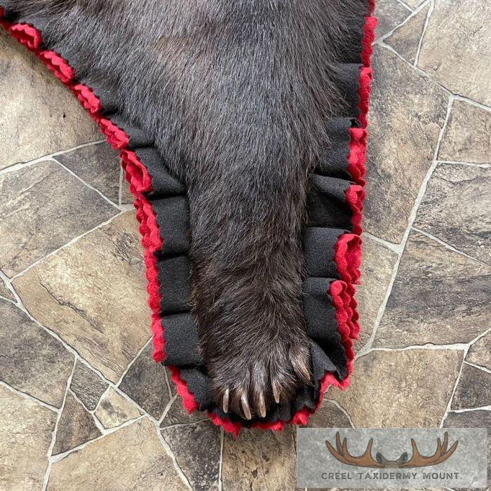Chocolate Black Bear Full-Size Taxidermy Rug For Sale