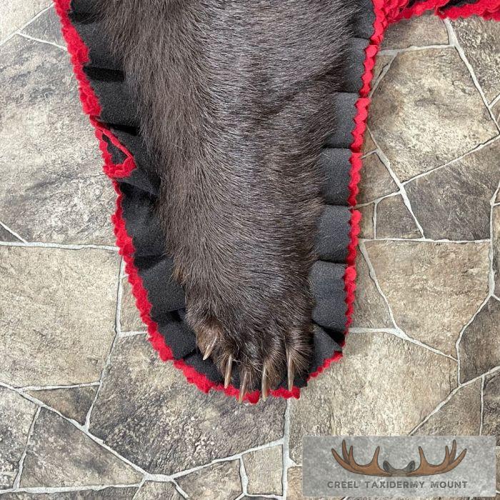 Chocolate Black Bear Full-Size Taxidermy Rug For Sale