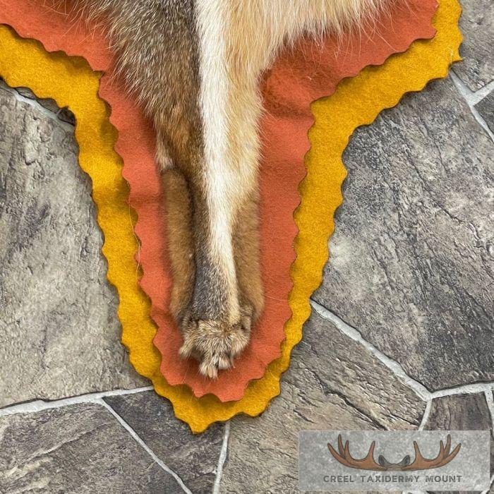 Grey Fox Full-Rug For Sale - Image 8