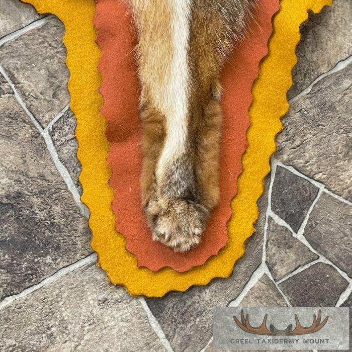 Grey Fox Full-Rug For Sale - Image 9