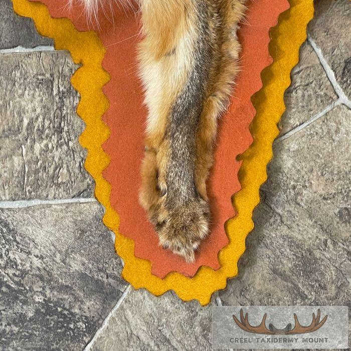 Grey Fox Full-Rug For Sale - Image 10