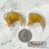 Mountain Lion Claws For Sale - Image 2