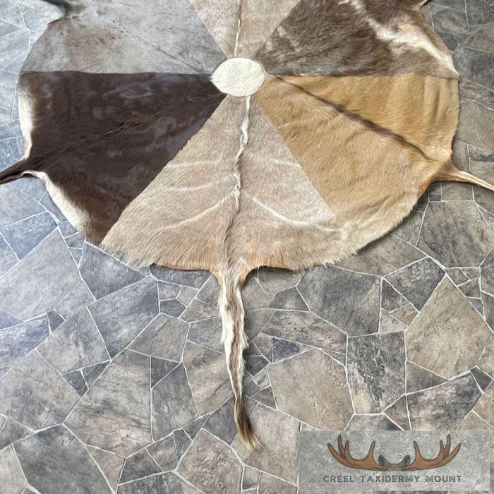 African Plains-Game Patchwork Rug For Sale - Image 2