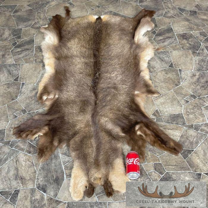 Chamois Tanned Hide For Sale - Image 2