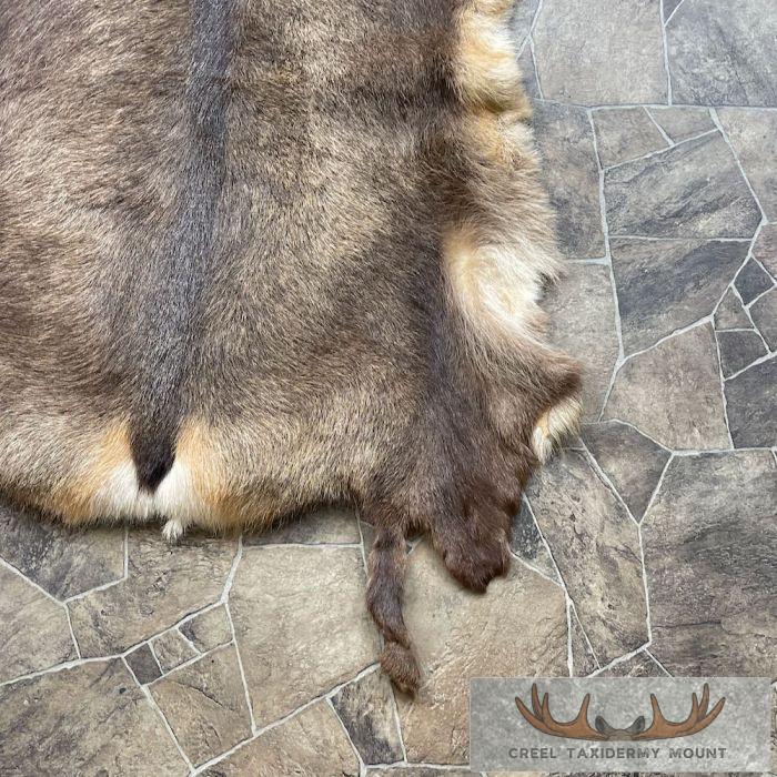 Chamois Tanned Hide For Sale - Image 4
