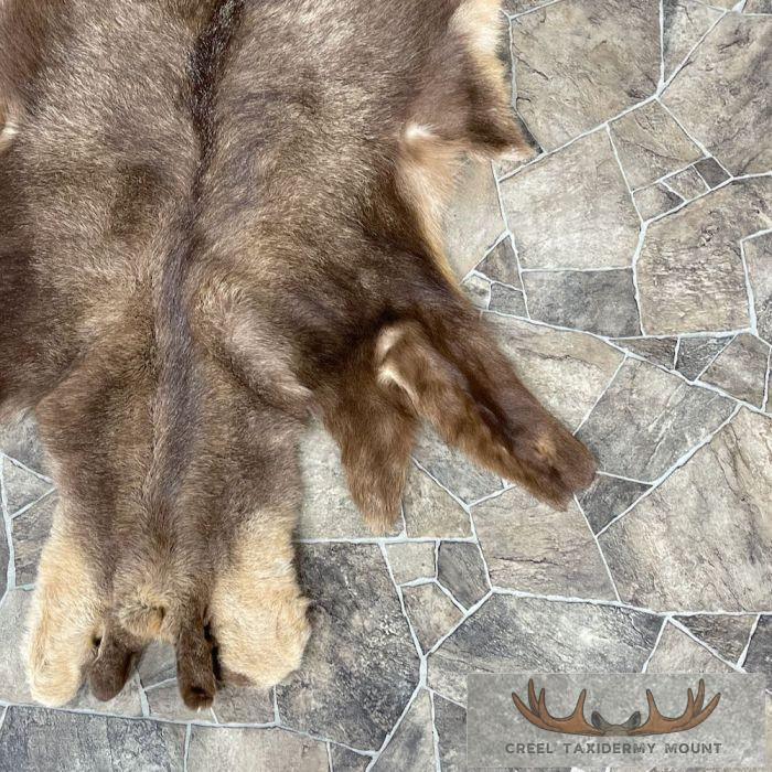 Chamois Tanned Hide For Sale - Image 6