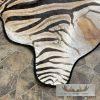 African Zebra Full-Size Taxidermy Rug For Sale - Image 8