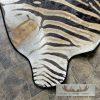 African Zebra Full-Size Taxidermy Rug For Sale - Image 9