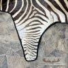 African Zebra Full-Size Taxidermy Rug For Sale - Image 10