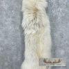 Arctic Wolf Tanned Hide For Sale - Image 4