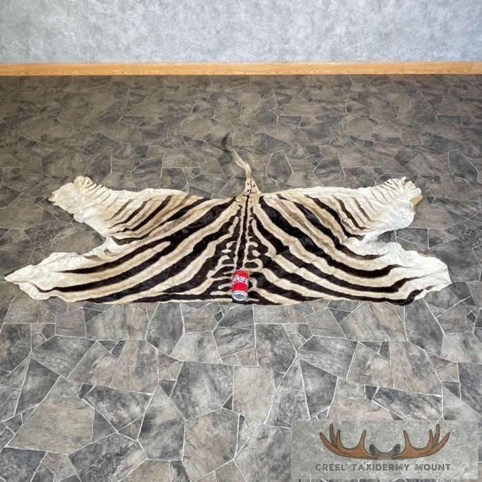 African Zebra Back Hide For Sale - Image 2