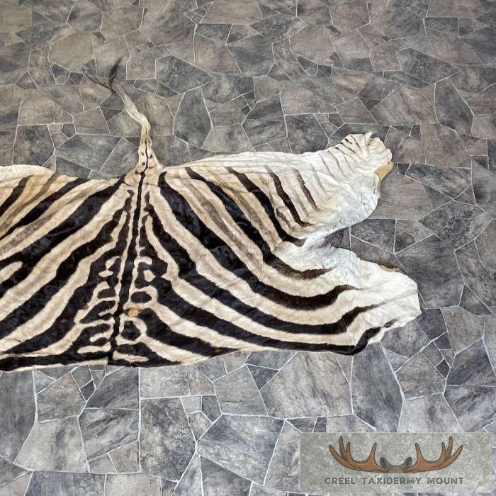 African Zebra Back Hide For Sale - Image 4