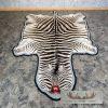 African Zebra Full-Size Taxidermy Rug For Sale - Image 2
