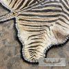 African Zebra Full-Size Taxidermy Rug For Sale - Image 5