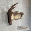 Scrimshaw Moose Antler Taxidermy Art For Sale - Image 3