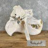 African Hippopotamus Full Skull Mount For Sale - Image 10