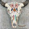 American Buffalo/Bison Skull Taxidermy Mount For Sale - Image 2