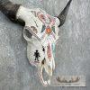 American Buffalo/Bison Skull Taxidermy Mount For Sale - Image 6