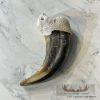 Grizzly Bear Claw Taxidermy For Sale - Image 4