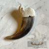 Grizzly Bear Claw Taxidermy For Sale - Image 3