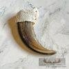 Grizzly Bear Claw Taxidermy For Sale - Image 4