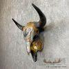 American Buffalo/Bison Skull Taxidermy Mount For Sale - Image 2