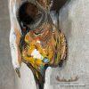 American Buffalo/Bison Skull Taxidermy Mount For Sale - Image 5