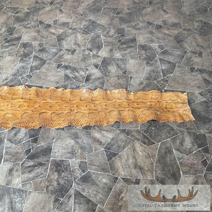 African Rock Python Snake Skin Rug Mount For Sale - Image 2