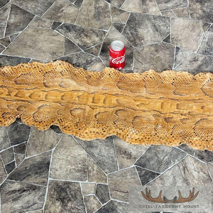 African Rock Python Snake Skin Rug Mount For Sale - Image 4